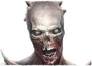Skeleton Zombie