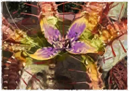 Rotten Overlord